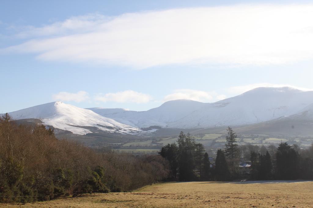 Ballinacourty House B&B Tipperary Εξωτερικό φωτογραφία