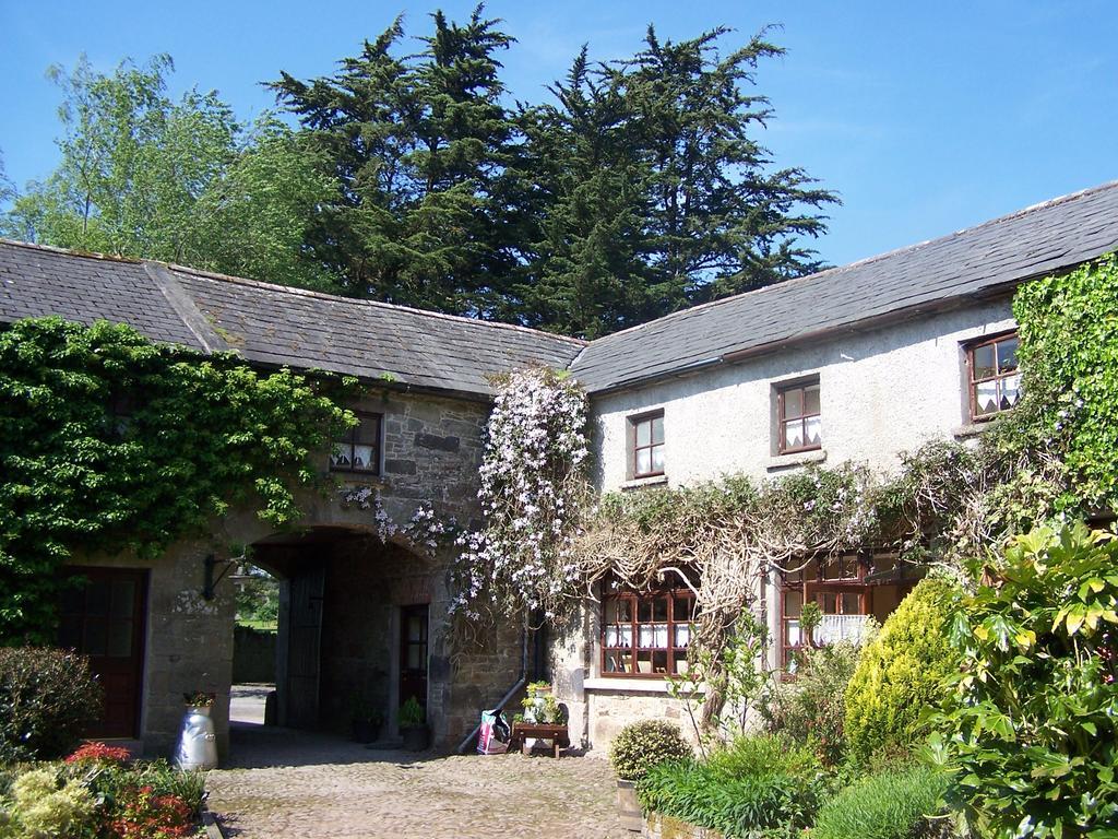 Ballinacourty House B&B Tipperary Εξωτερικό φωτογραφία
