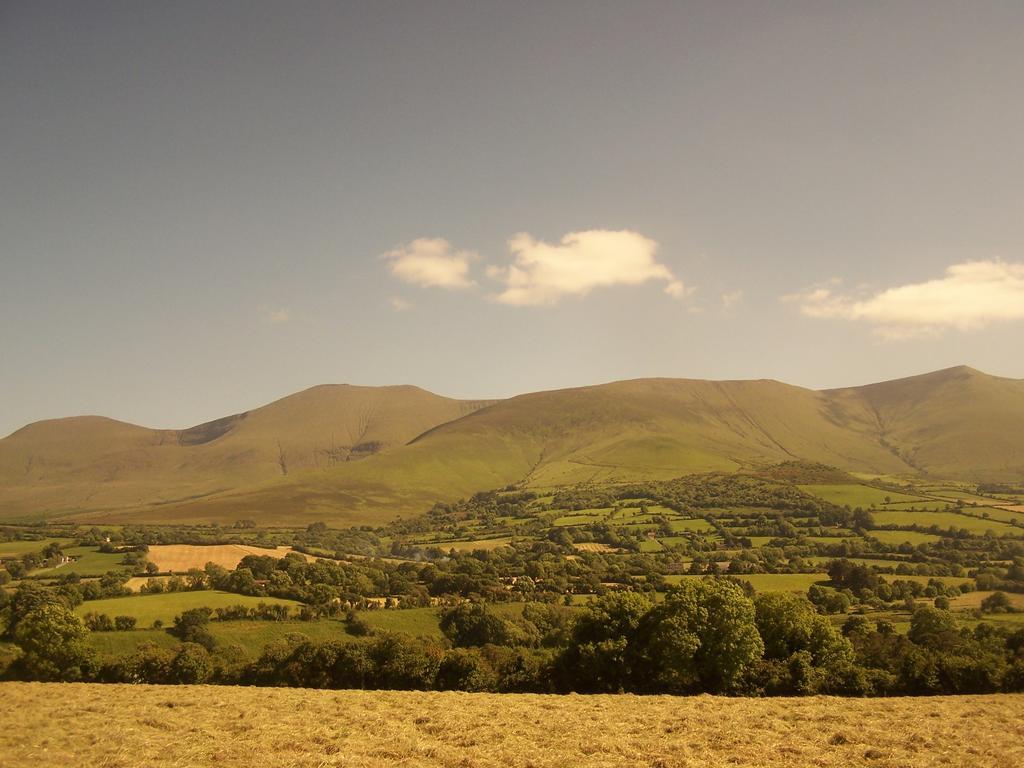 Ballinacourty House B&B Tipperary Εξωτερικό φωτογραφία