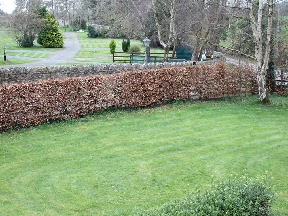 Ballinacourty House B&B Tipperary Εξωτερικό φωτογραφία